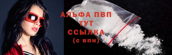 гидра Тында